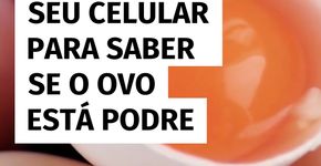 Você pode descobrir se o ovo está estragado usando apenas o celular