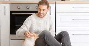 7 maneiras eficientes de chamar seu gato e ele aparecer