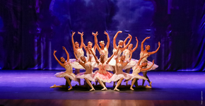 Foto: (Reprodução Instagram Oficial @balletparaisopolis / Lygia Contin)