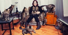 Fotógrafa registra a vida de pessoas apaixonadas por gatos