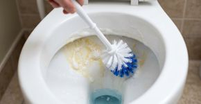1 colher de sopa. 1 litro de água. As manchas amarelas do vaso sanitário sumiram em dois dias