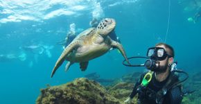 Foto: (Divulgação/Sea Paradise)