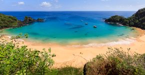 Foto: (MaFelipe/iStock)