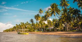 Foto: (MesquitaFMS/iStock)