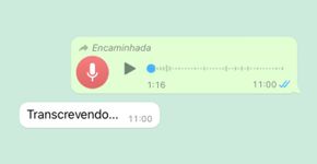 Foto: (Captura de tela do WhatsApp)