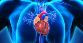 Foto: (iStock/Nerthuz)