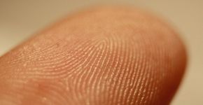 O formato das suas digitais pode dizer muito sobre você