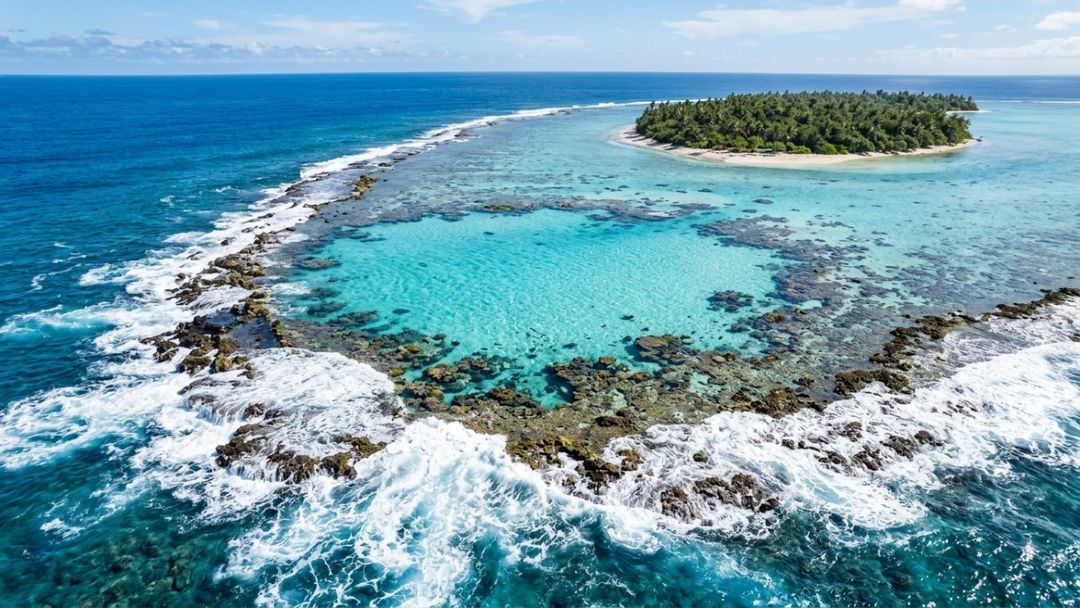 A Baía dos Golfinhos abriga uma população notável de cetáceos que utilizam as enseadas protegidas para descanso.