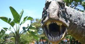 Foto: (Divulgação | Museu dos Dinossauros)