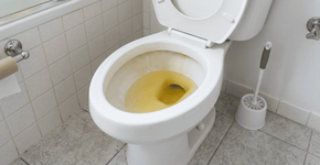 O que significa quando a água do vaso sanitário fica com uma coloração diferente mesmo após a limpeza?
