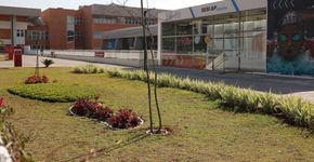 Foto: (Divulgação/Sesi-SP)