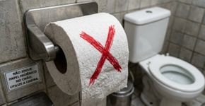 Muita gente no Brasil não entende por que não é indicado limpar o assento do vaso sanitário com papel higiênico