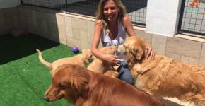 Luisa Mell resgata mais de 50 cães e gatos em São Paulo