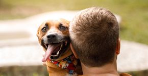 Foto: (Banco de Imagens | iStock)