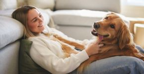Leishmaniose Visceral Canina: conheça os sintomas da doença e as formas de transmissão