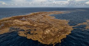 A “fita marrom” que agora pode ser vista do espaço continua a crescer no Atlântico, e os cientistas alertam que isso não é apenas mais uma mancha simples