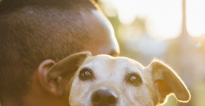Compartilhe fotos do carinho que você tem pelo seu animal