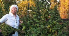 Freiras que plantam maconha viram sensação em festival na França
