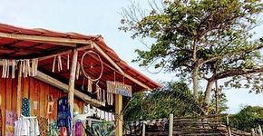 Natureza encantada