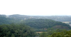 Atividades gratuitas neste sábado no Parque do Pedroso em Santo André