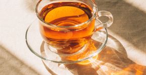 O que é rooibos e para que serve? Conheça a bebida que é fonte de antioxidantes