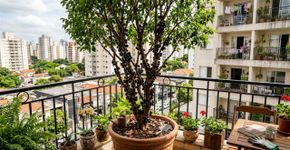 A árvore que melhor se adapta ao vaso: a opção elegante para terraços pequenos
