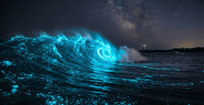 Pesquisadores da Califórnia ficam em choque com a luz azul nas ondas e usam simulações para revelar o segredo desses microrganismos