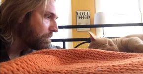 Dono ‘se vinga’ de gato que o acorda todas as madrugadas