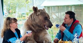 Casal russo adotou um lindo bebê urso