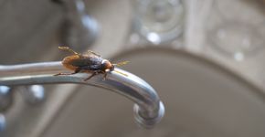 Foto: (iStock/KLH49)