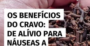 De alívio para náuseas a antisséptico natural; os benefícios do cravo