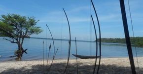 Projeto usa habilidade de jovens indígenas com arco e flecha para transformá-los em atletas olímpicos