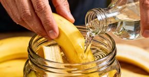 Casca de banana com vinagre vira adubo poderoso que deixa plantas cheias de flores sem gastar nada