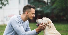 Foto: (IvanJekic/istock)