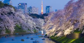 Foto: (Torsakarin/iStock)