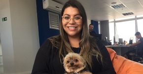 Startup cria ambiente para funcionários levarem seus cães para o trabalho