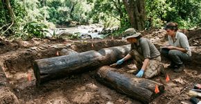Duas toras encaixadas há 476 mil anos sugerem que ancestrais humanos já sabiam construir com madeira