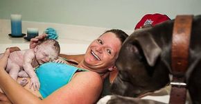 Fotos mostram amor e apoio de pets durante partos humanizados