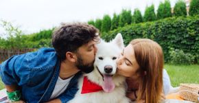 Guarda compartilhada de pets: dinâmica exige atenção com a alimentação do animal