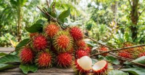A fruta de rubi que tem polpa translúcida e sabor floral e que poucos brasileiros conhecem