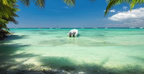 Foto: (valio84sl/iStock)