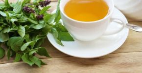 Para que serve o chá de manjericão? Veja 5 receitas e os seus benefícios