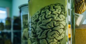 Foto: (Vladimir Zapletin/istock)