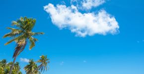 Foto: (Istock)
