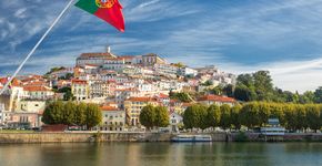 Foto: (Olga Tarasyuk/iStock)