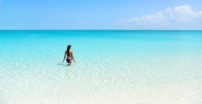Foto: (Maridav;iStock)