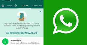 Foto: (Reprodução/WhatsApp)