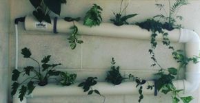 Faça você mesmo: 9 ideias de jardim suspenso