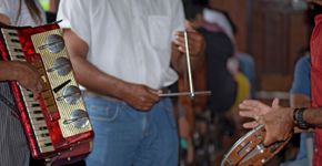 Foto: (jaboticaba / istock)