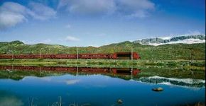 Trip Tip 7: Bergen, Noruega